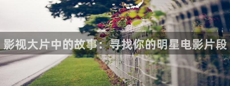 草莓视频下载app在线观看