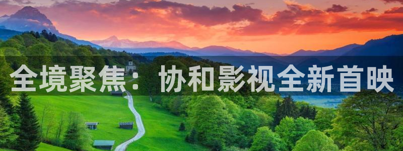 草莓视频地址一：全境聚焦：协和影视全新首映