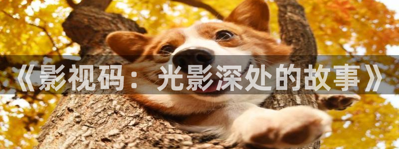 草莓视频在线黄：《影视码：光影深处的故事》
