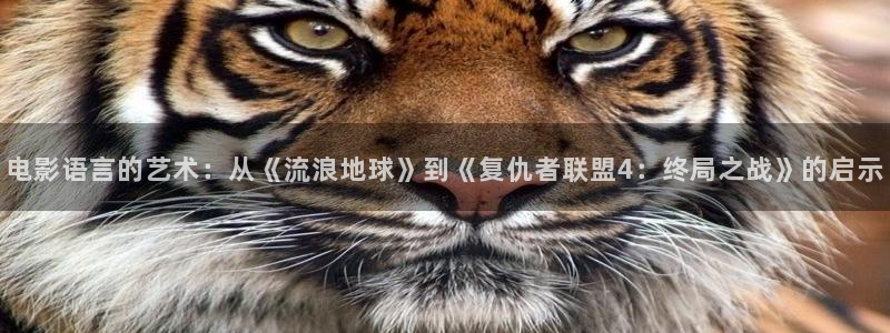 草莓视频在线最新官网：电影语言的艺术：从《流浪地球》到《复仇者联盟4：终局之战》的启示