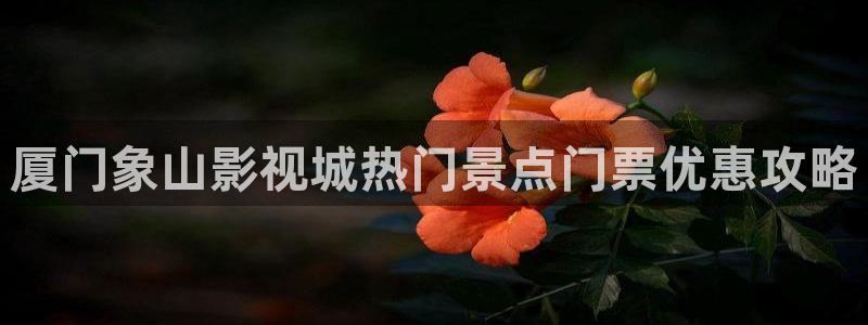 草莓视频52：厦门象山影视城热门景点门票优惠攻略
